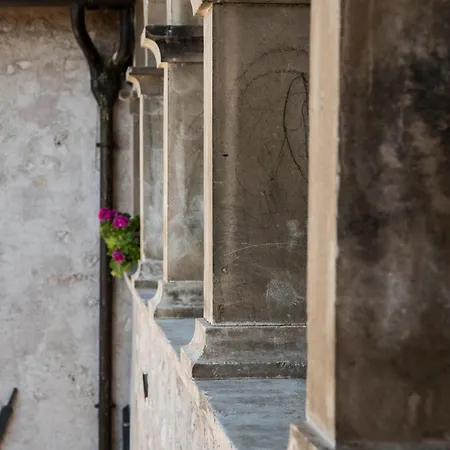 Domus Paulae *